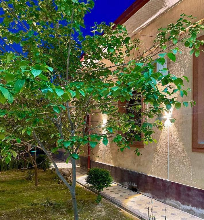 Amor Fati Hotel Tasjkent Buitenkant foto